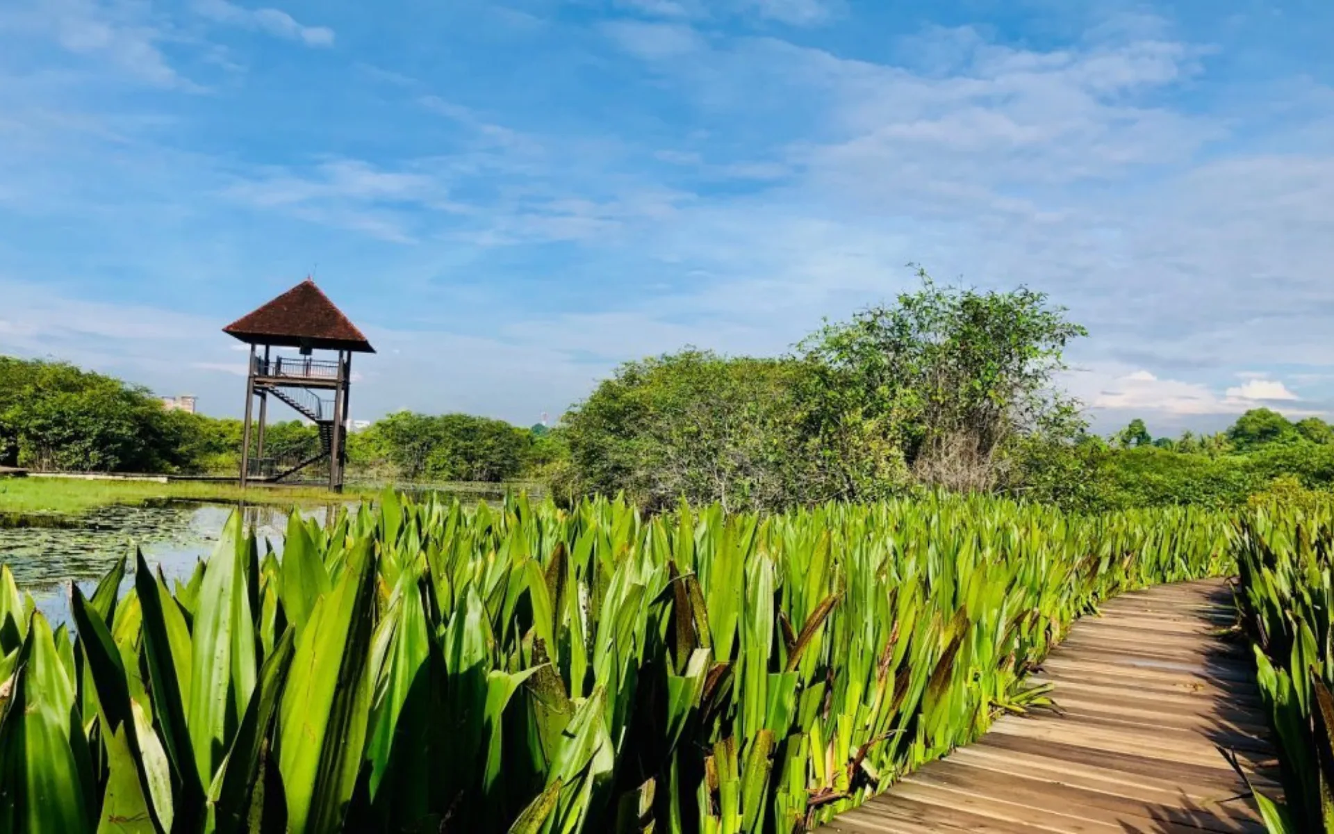 Colombo Nature Colombo City Tour - Travel with Rushi